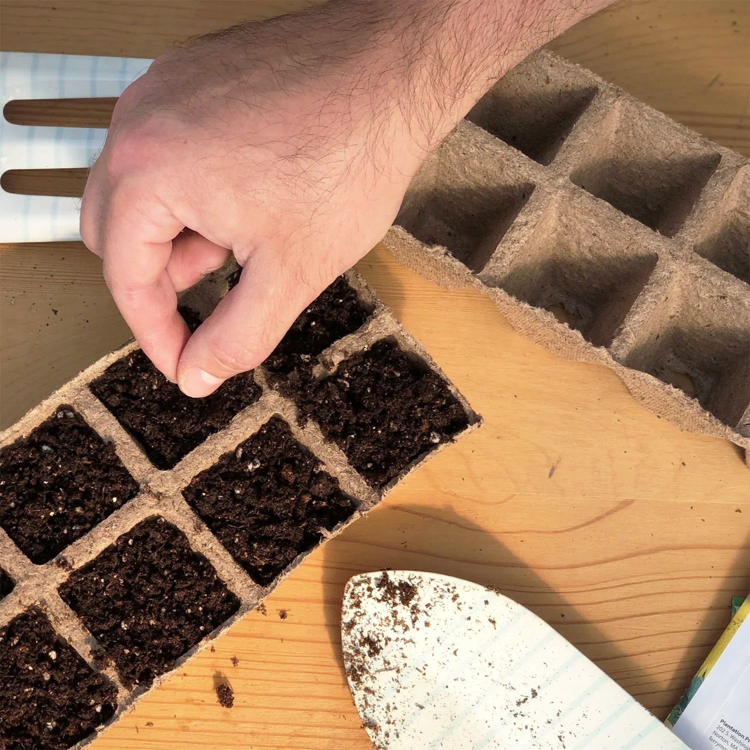 hand planting seed in plantable strips